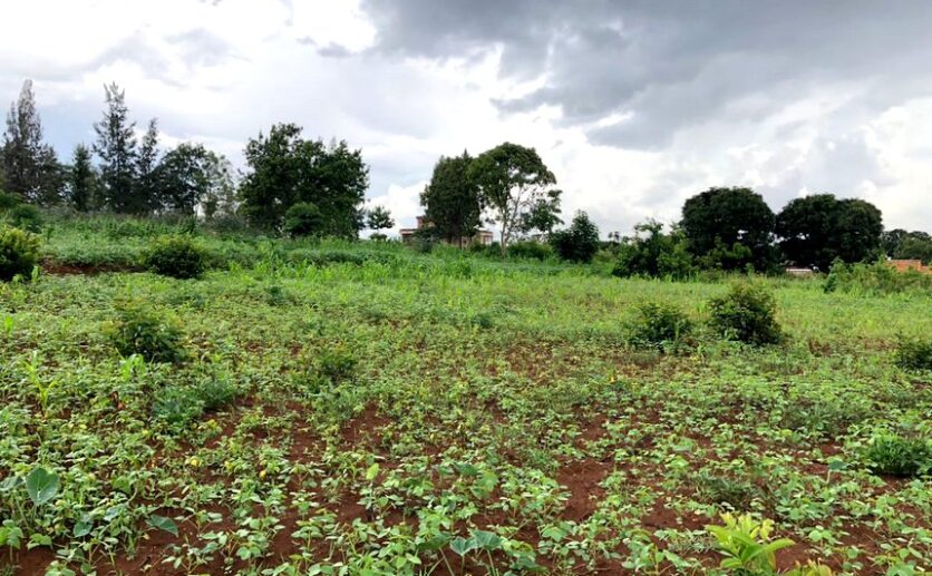 Land for sale in Rusororo (4)