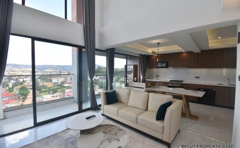 Penthouse for sale (6)