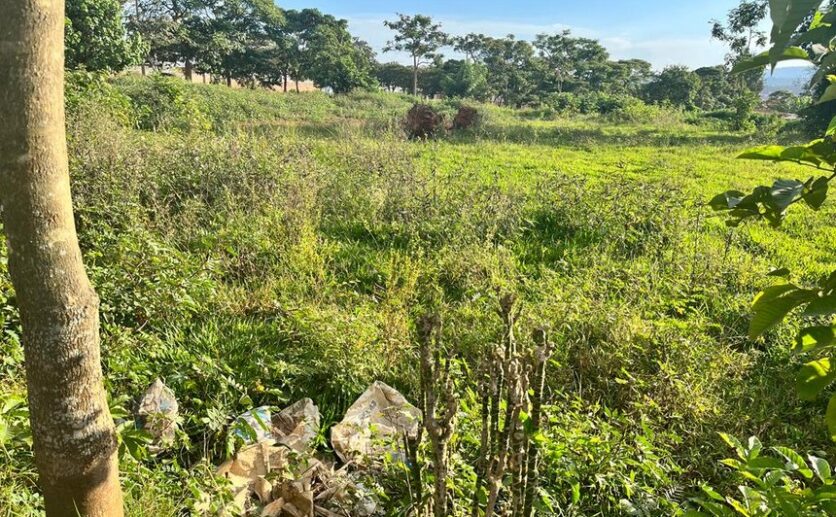Plot of land for sale in Rusororo (2)