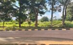 Plot of land for sale in Rusororo (6)
