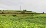 Plots of land in Bumbogo (7)