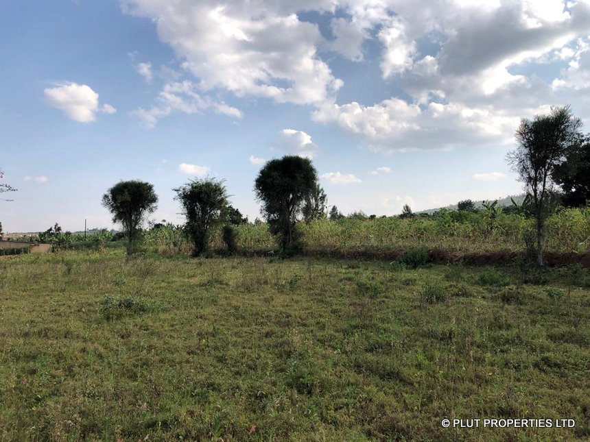 Affordable land for sale in Kabuga