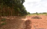 forest for sale in rwamagana plut properties (6)