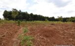 forest for sale in rwamagana plut properties (9)