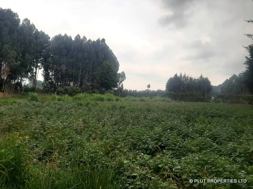 Land for sale in Musanze-Kinigi
