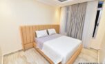plutproperties apartment for rent in kibagabagabaga (21)