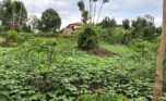 land for sale in Kagugu plut properties (2)