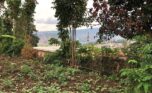 land for sale in Kagugu plut properties (7)