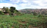 land for sale in rusororo (2)