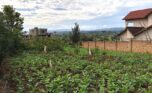 land for sale in rusororo (7)