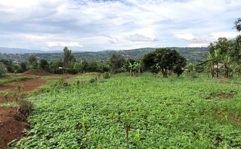 land for sale in rusororo plut properties (1)