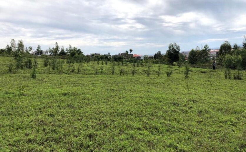 land for sale in rusororo plut properties (3)
