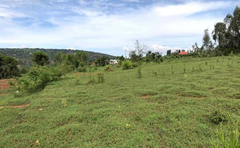 land for sale in rusororo plut properties (6)