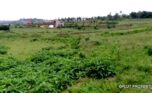 plot for sale in busanza fpr 12M (1)