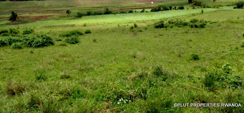 plot for sale in busanza fpr 12M (2)