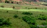 plot for sale in busanza fpr 12M (4)