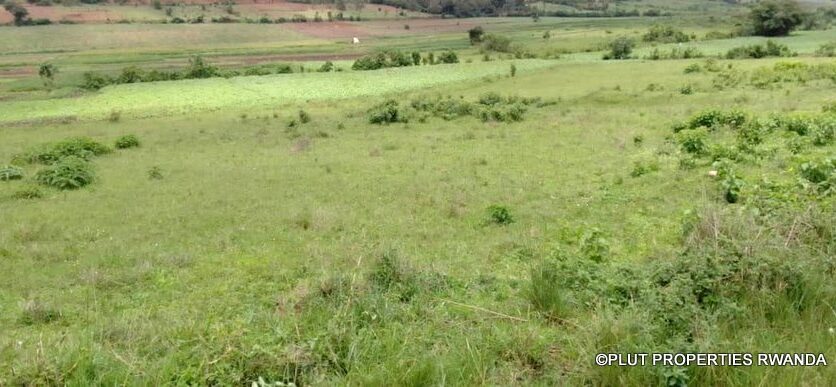 plot for sale in busanza fpr 12M (6)