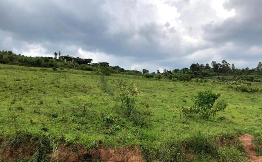 affordable land in rusororo (3)