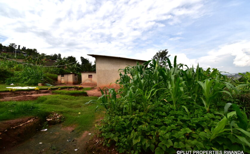 plot for sale in nyamirambo (6)