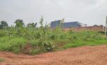 PLOT FOR SALE IN BUSANZA KANOMBE (2)
