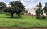 big land for sale in gacuriro (7)