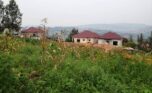 buy land in Kibagabaga (5)