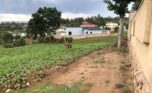 buy land in Kinyinya (9)