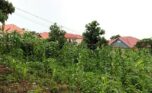 commercial land for sale in gisozi (5)