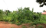 commercial land for sale in gisozi (6)