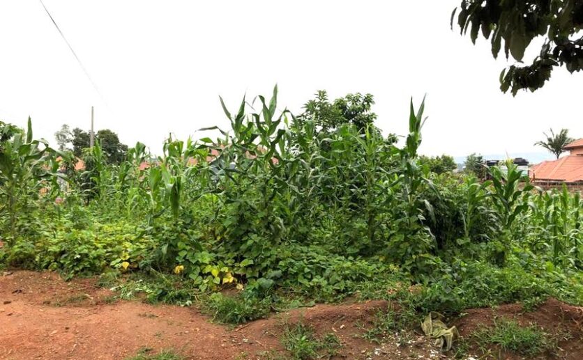 commercial land for sale in gisozi (6)