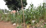 land for sale in Gisozi (3)