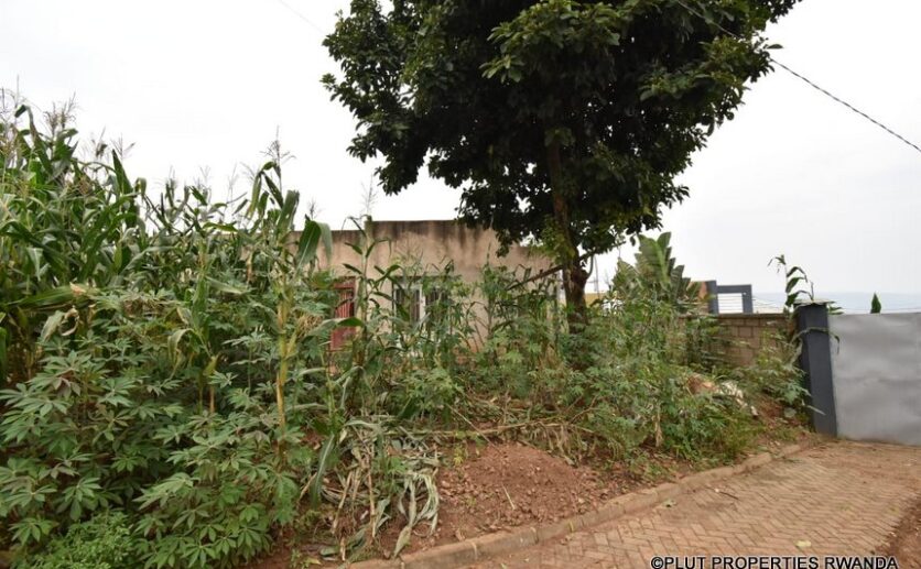 land for sale in Gisozi (7)