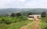 land for sale in kanyinya (10)