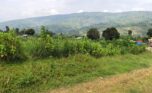 land for sale in kanyinya (12)