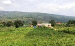 land for sale in kanyinya (7)
