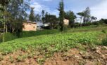 buy land in nyarutarama (6)