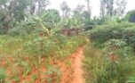 land for sale in Bugesera (1)