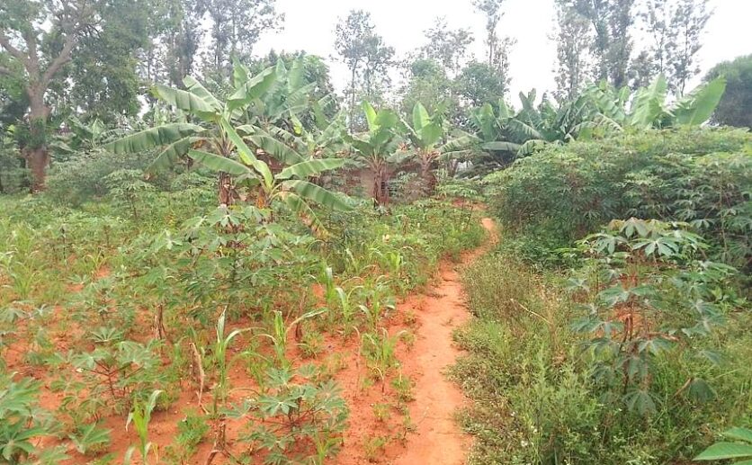 land for sale in Bugesera (1)