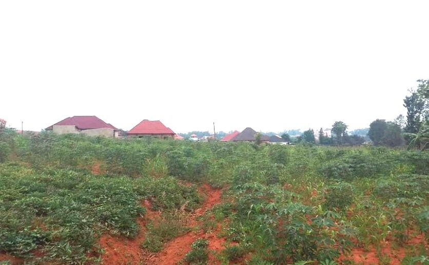 land for sale in Bugesera (2)