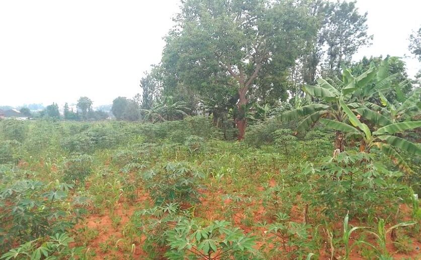 land for sale in Bugesera (3)