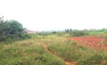 land for sale in Bugesera (4)