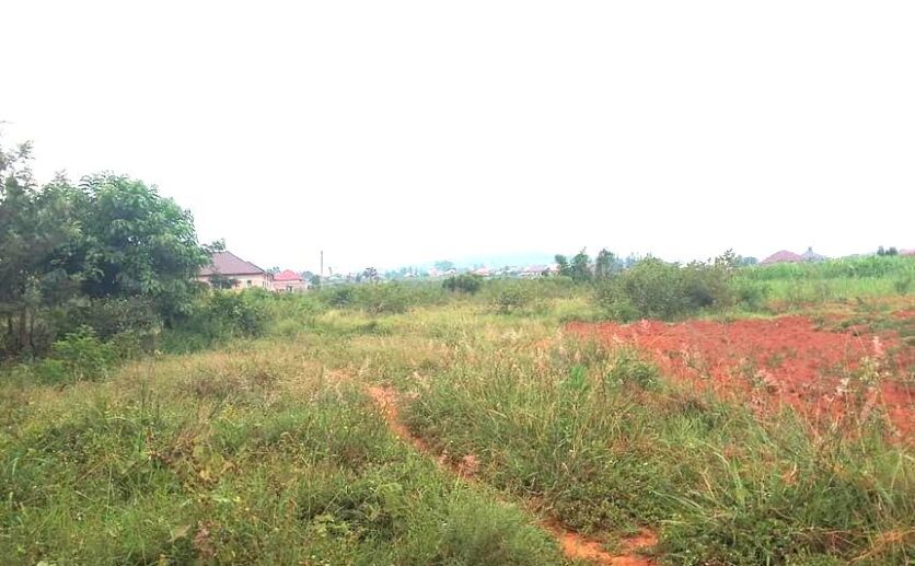 land for sale in Bugesera (4)