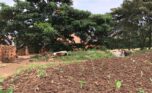 land for sale in kinyinya (2)