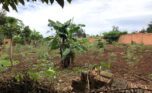 land for sale in kinyinya (8)