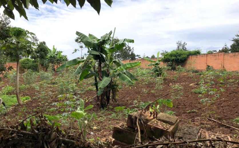 land for sale in kinyinya (8)