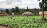 land for sale in nyarutarama (5)