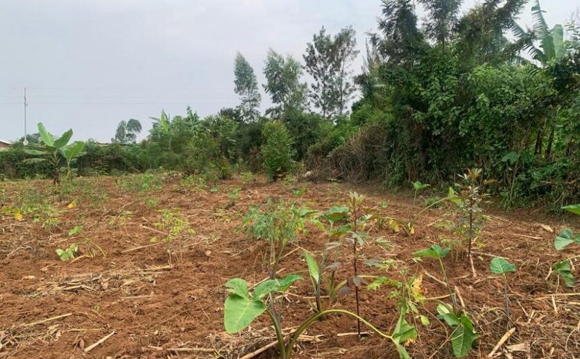 land for sale in rusororo (1)