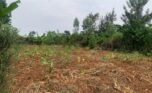 land for sale in rusororo (2)