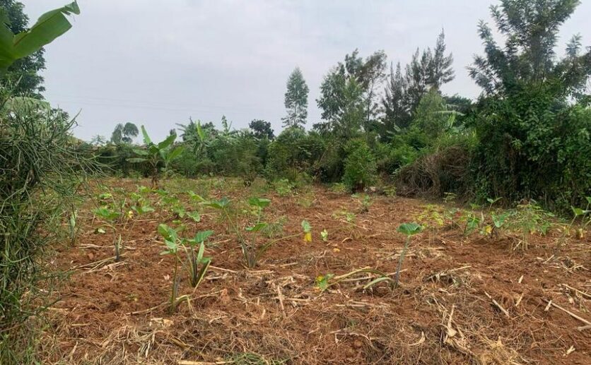 land for sale in rusororo (2)