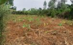 land for sale in rusororo (3)